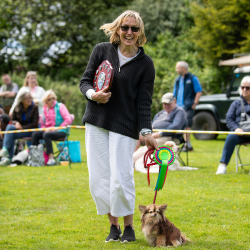 Novelty Dog Show